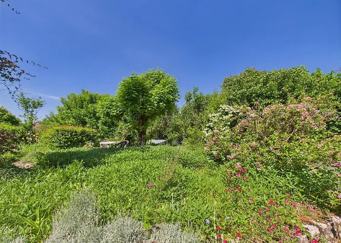 Mitoyen - 4 Personnes - Piscine Commune *